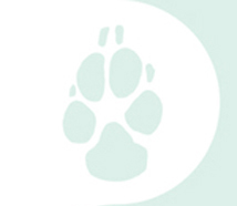 left column paw graphic